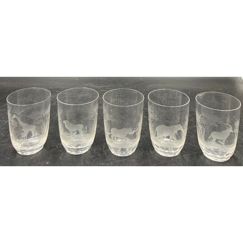 384 - Five Rowland Ward engraved glass tumblers. 10cm h.