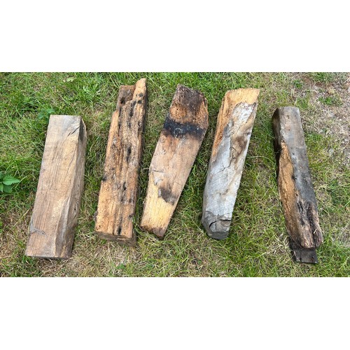 119 - Five various oak cut offs dating from the 17thC to the 11thC, originally from the knave of Beverley ... 