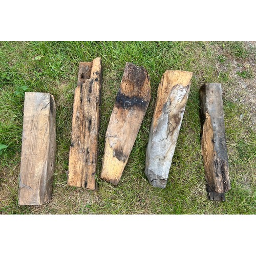 119 - Five various oak cut offs dating from the 17thC to the 11thC, originally from the knave of Beverley ... 