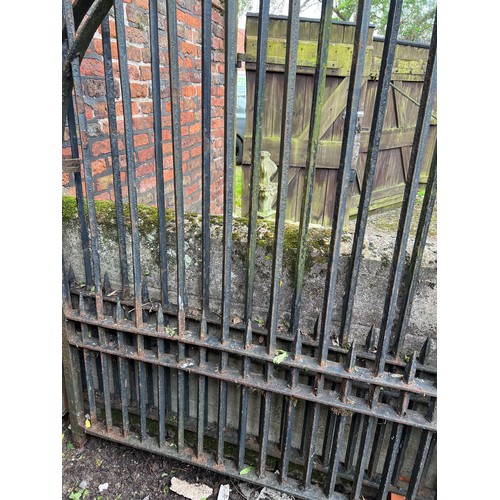 185 - A pair of 19thC iron gates originally from the North Side disabled access entrance of Beverley Minst... 