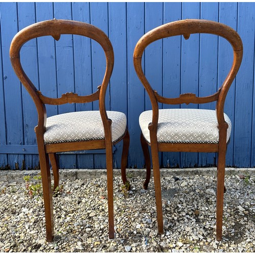 48 - Pair of Victorian mahogany balloon back dining chairs 84cm h approx 46cm to seat.