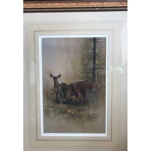 1284 - John Naylor (b.1960) British, a pair of pastels on paper one of a fox, signed and dated 1997. Image ... 