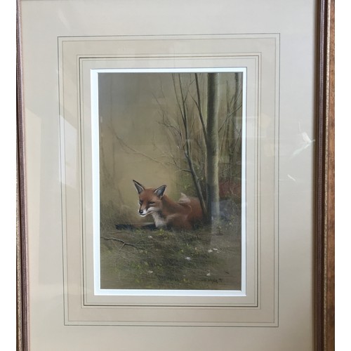 1284 - John Naylor (b.1960) British, a pair of pastels on paper one of a fox, signed and dated 1997. Image ... 