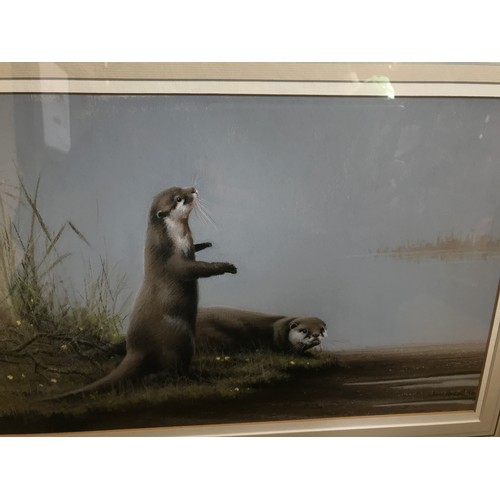 1285 - John Naylor (b.1960) British, a pair of pastels on paper one of a pair of badgers, signed and dated ... 