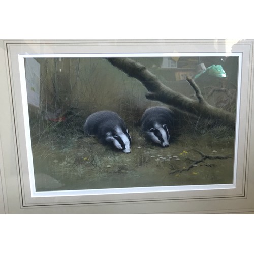 1285 - John Naylor (b.1960) British, a pair of pastels on paper one of a pair of badgers, signed and dated ... 