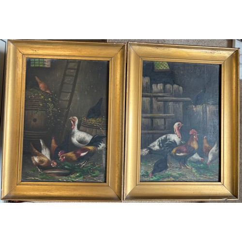 1336 - A pair of oil on board paintings depicting farmyard fowl. 36cm x 25cm. In gilt frames.