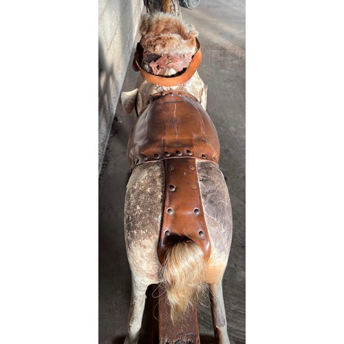 1102 - An early 20thC skin covered wooden rocking horse with leather saddle and bridle. Horse hair tail. 11... 