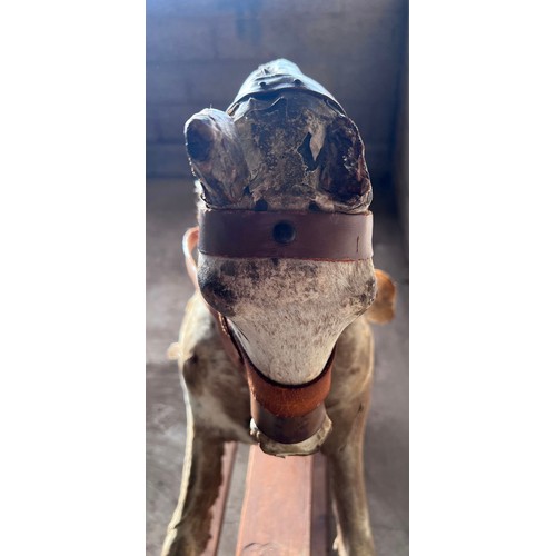 1102 - An early 20thC skin covered wooden rocking horse with leather saddle and bridle. Horse hair tail. 11... 