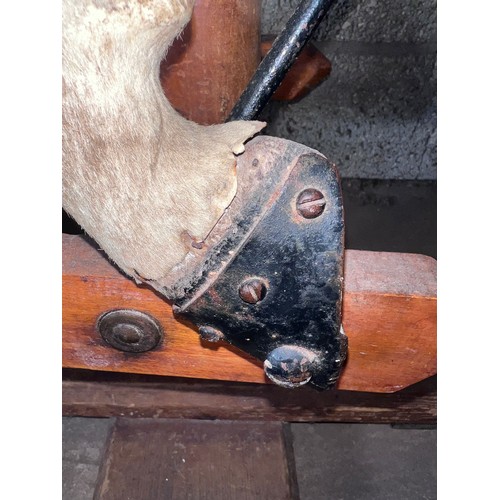 1102 - An early 20thC skin covered wooden rocking horse with leather saddle and bridle. Horse hair tail. 11... 