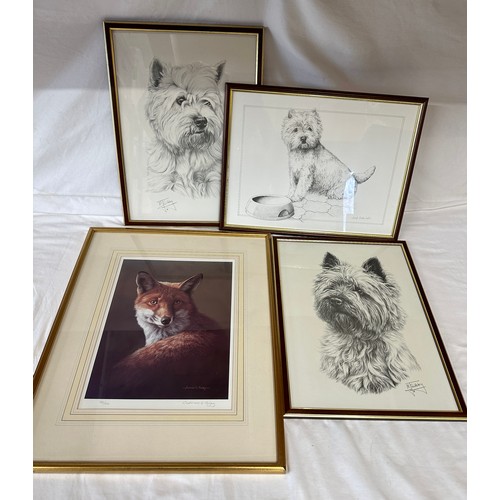 1384 - A Limited Edition artist signed print of a fox By Adrian C Rigby 135/250 together with three prints ... 