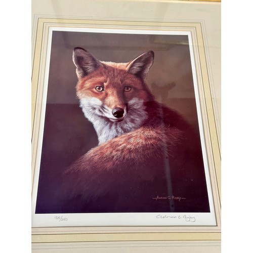 1384 - A Limited Edition artist signed print of a fox By Adrian C Rigby 135/250 together with three prints ... 