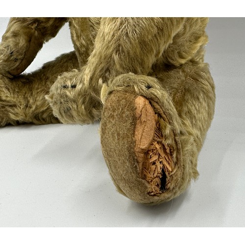 1076 - An early 20thC straw filled Teddy with button eyes and long snout and paws. Approx. 33cm long.