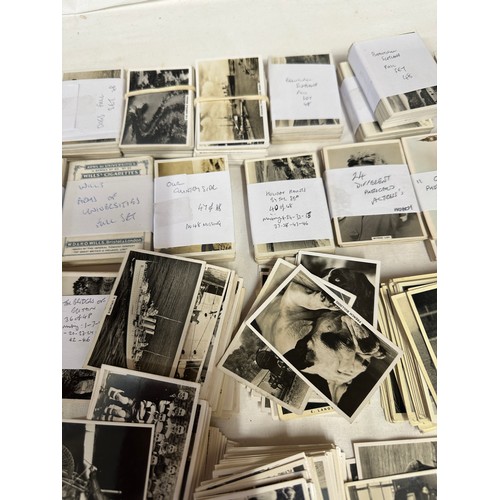 A large quantity of cigarette cards to include: SENIOR SERVICE black and  white photo card sets: 2 x