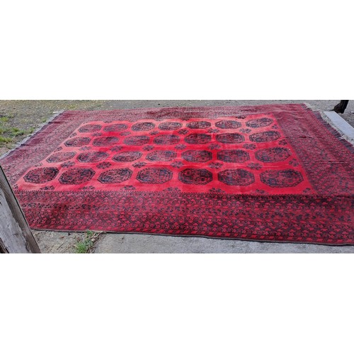 1240 - A good quality red ground carpet, 430cm x 370cm.