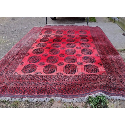 1240 - A good quality red ground carpet, 430cm x 370cm.