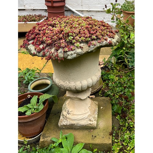 144 - A 19thC stone urn, originally from St. Mary’s House in Beverley. 40cm h.