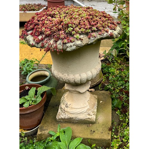 144 - A 19thC stone urn, originally from St. Mary’s House in Beverley. 40cm h.