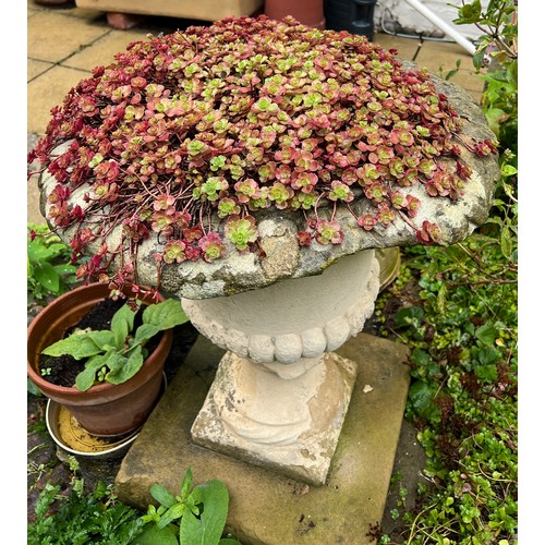 144 - A 19thC stone urn, originally from St. Mary’s House in Beverley. 40cm h.