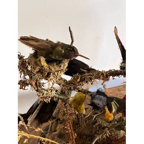 743 - A taxidermy study of a canary under a glass dome. 39cm h.