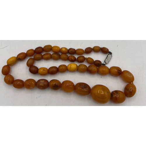 452 - Butter scotch amber bead necklace, length 48cm, weight 24gm.