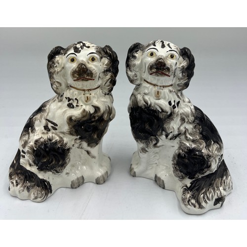 215 - A pair of 19thC Staffordshire black and white spaniels. 19cm h.