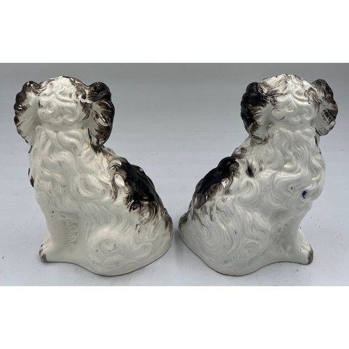 215 - A pair of 19thC Staffordshire black and white spaniels. 19cm h.