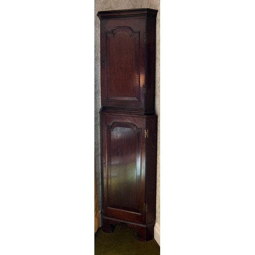 127 - A 19thC double height oak corner cupboard on bracket feet. 205cm h x 60cm w. (glasses not included)