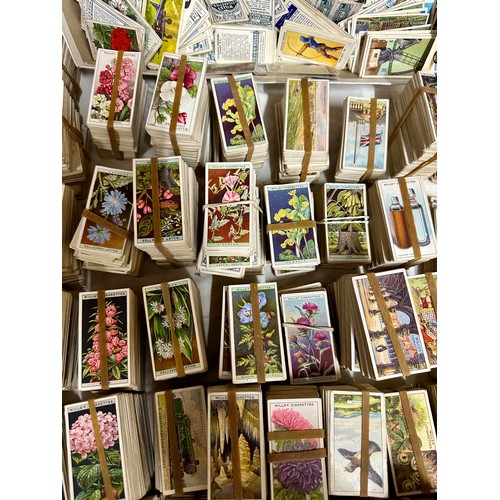 763 - A large quantity of cigarette cards:  Black Cat, Will's, various sets, etc. 10000+ cards.