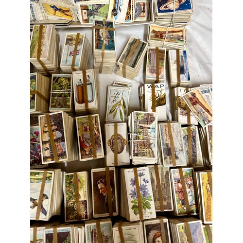 763 - A large quantity of cigarette cards:  Black Cat, Will's, various sets, etc. 10000+ cards.