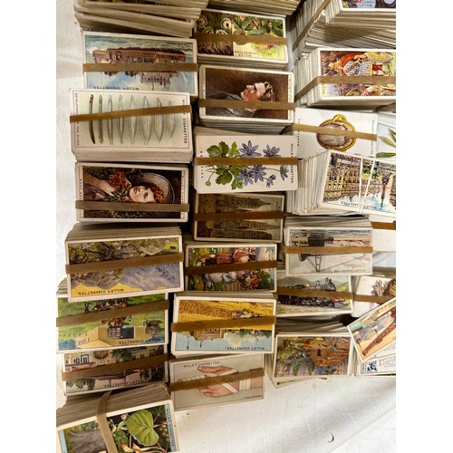 763 - A large quantity of cigarette cards:  Black Cat, Will's, various sets, etc. 10000+ cards.