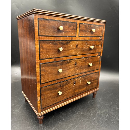 5 - A 19thC mahogany apprentice collector's chest of drawers, two short over three graduated long drawer... 