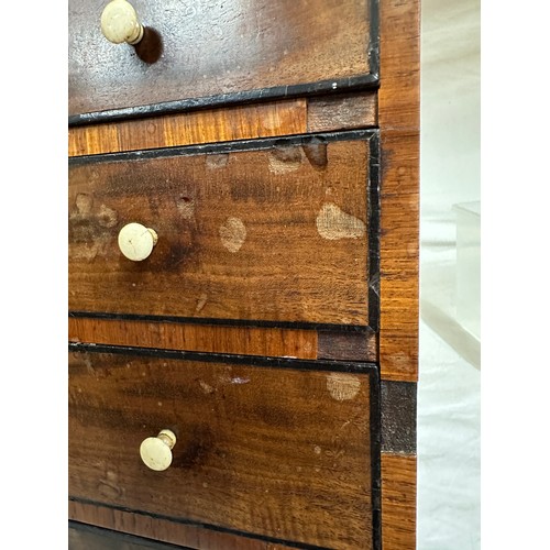 5 - A 19thC mahogany apprentice collector's chest of drawers, two short over three graduated long drawer... 