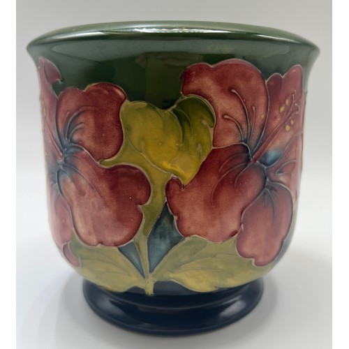 188 - A Moorcroft Hibiscus green ground planter. 12.5cm h.