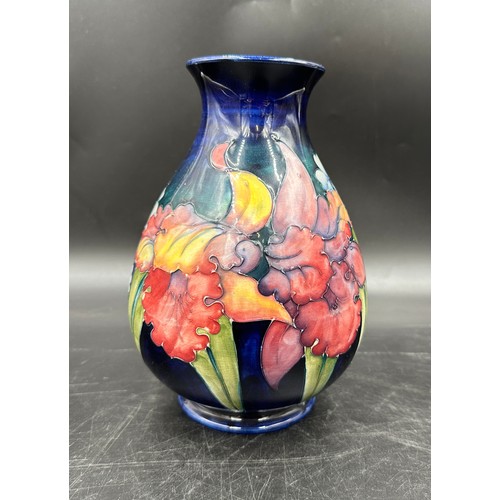 262 - A Moorcroft Orchid pattern baluster vase on a blue ground, impressed marks and blue signature to bas... 