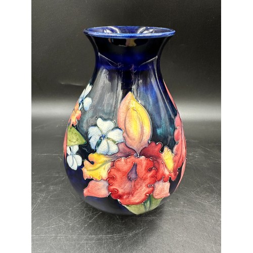 262 - A Moorcroft Orchid pattern baluster vase on a blue ground, impressed marks and blue signature to bas... 