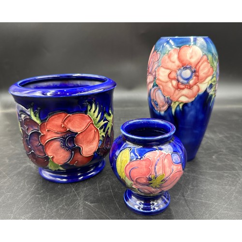 259 - Moorcroft 'Anemone' pattern plant pot approx 13cm h x 13.5cm d, along with a vase approx 17.5cm h an... 