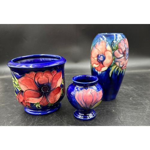 259 - Moorcroft 'Anemone' pattern plant pot approx 13cm h x 13.5cm d, along with a vase approx 17.5cm h an... 