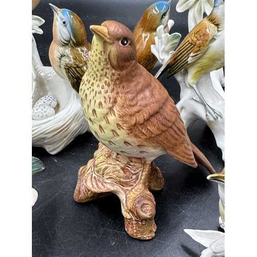 239 - Six Karl Ens porcelain bird figurines to include Robin's Nest  7499, Blue Tits, Chaffinch etc. talle... 