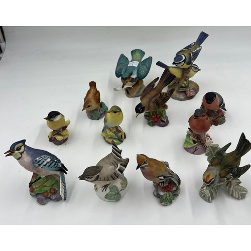 146 - Thirteen various bird figurines to include Royal Worcester Marsh Tit, Wren, American Robin, Chaffinc... 