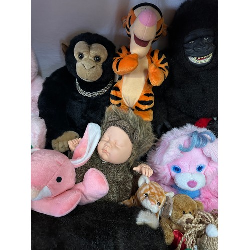 1203 - A collection of soft toys to include Keel, Brush a Love by Matchbox, Ty Beanie Babies, Anne Geddis, ... 