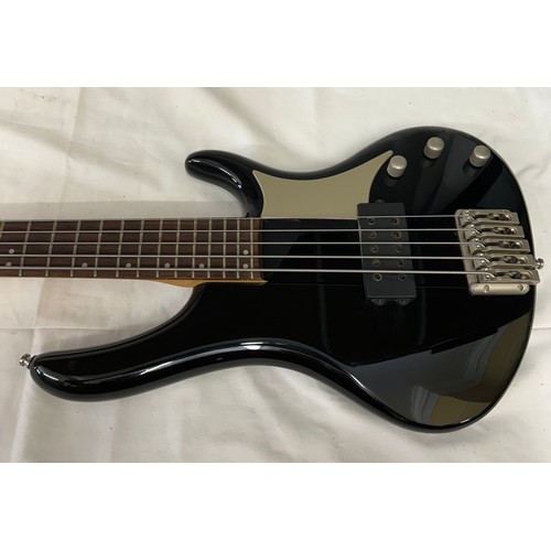 A Washburn Bantam RB-2500 5-string active electric bass guitar.