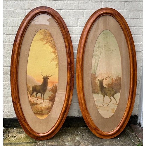 1373 - A pair of stag prints in large wooden oval frames.  Frames  135 x 63cm.