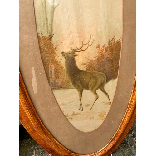 1373 - A pair of stag prints in large wooden oval frames.  Frames  135 x 63cm.