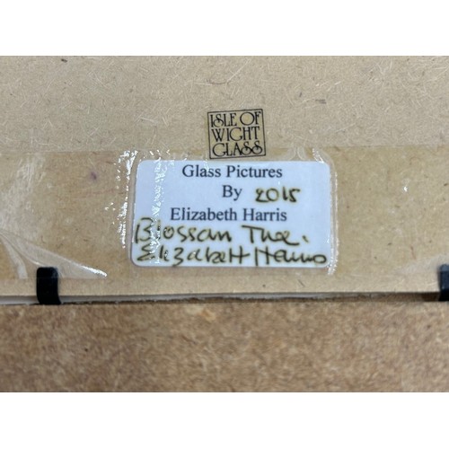 460 - Elizabeth Harris Isle of Wight Contemporary studio glass wall plaques to include 'Blossom Time' (201... 