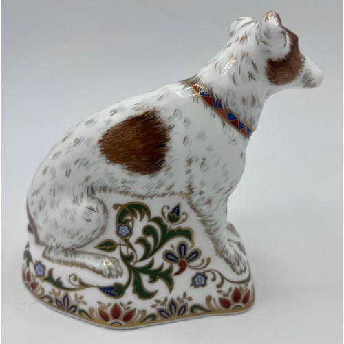 383 - A Royal Crown Derby Parson Jack Russell Terrier paperweight, signed Lorna Adams to base. 12cm h. Gol... 