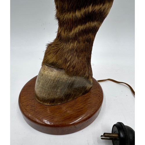 1019 - A taxidermy table lamp formed from a zebra leg on a wooden base together with a carved wooden lion t... 