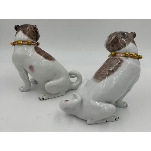 227 - A pair of Dresden pug dogs, pink collars with gold bells, printed marks in blue to base and serial n... 