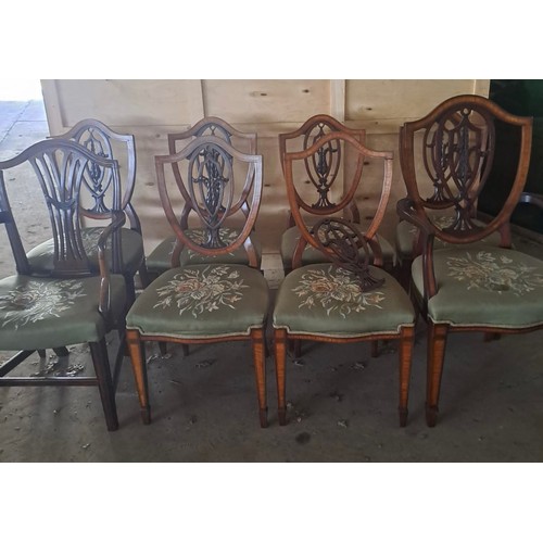 63 - Eight mahogany inlaid shield backed dining chairs. One carver different to others.