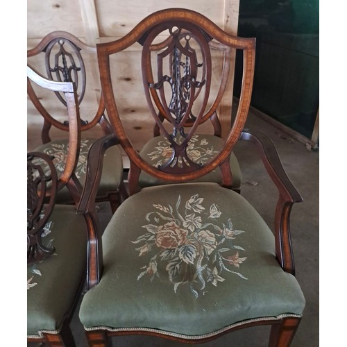 63 - Eight mahogany inlaid shield backed dining chairs. One carver different to others.