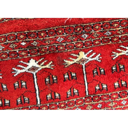 1221 - A large red Kashmir wool carpet. Approx. 179 x 280cm.